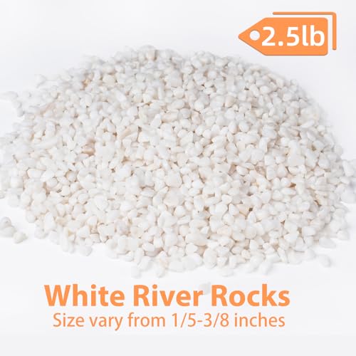 2.5 lbs White Aquarium Gravel (2.5 Pound)