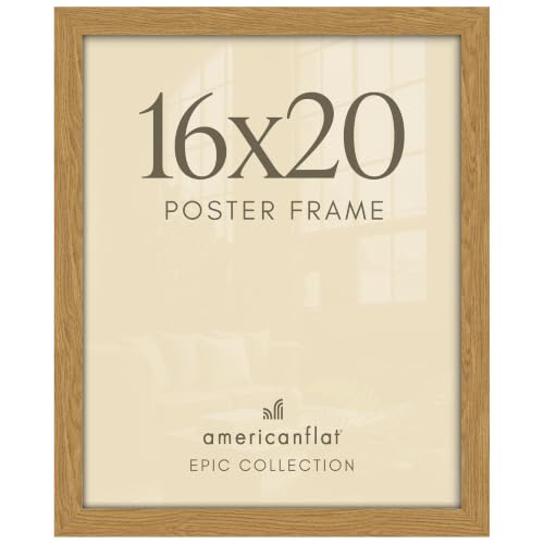 16x20 Poster Frame