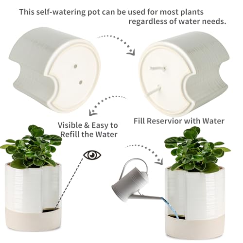 Ceramic Self Watering Plant Pot for Indoor Plants