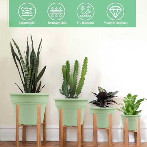 10 Inch Plastic (4 Count)