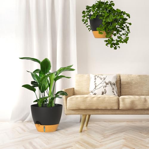 12 Inch Hanging Planters for Indoor Outdoor Plants (2 Count)