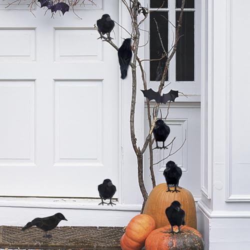 Halloween Birds (6 Count)