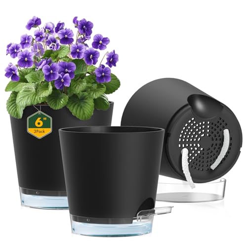 6 inch Self Watering Pots for Indoor Outdoor Plants (3 Count)