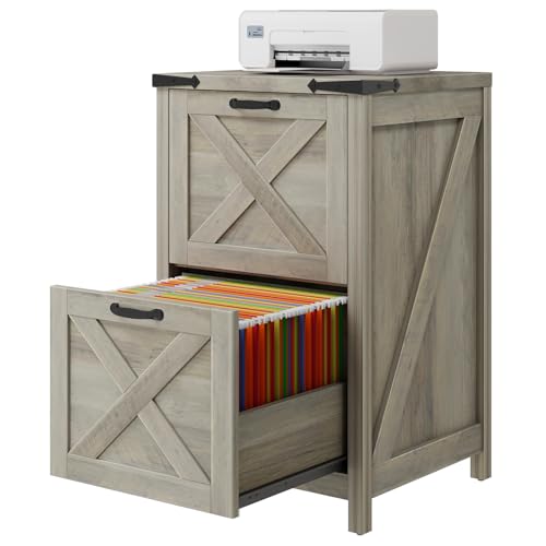 Vertical File Cabinet with 2 Drawers for Home Office
