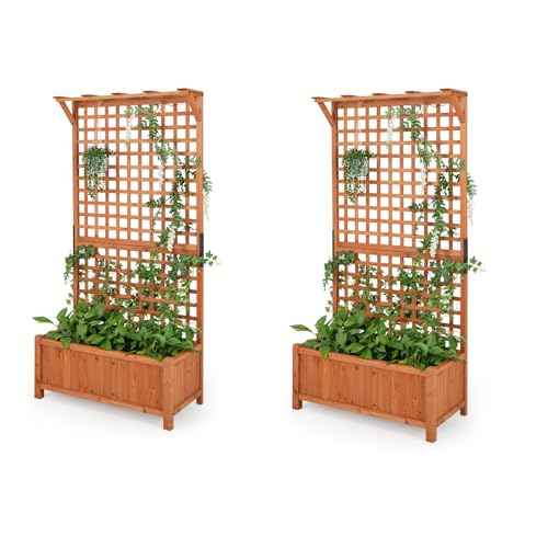 2 Pcs Raised Garden Bed with Trellis (2 Count)