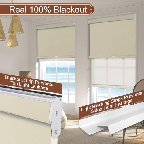 Cordless Dual Roller Shades.Striped Jacquard Beige.67 W x 80" H
