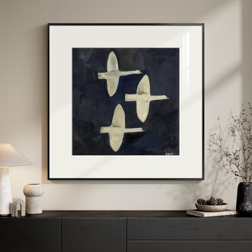 Framed Modern Black and White Bird Wall Art