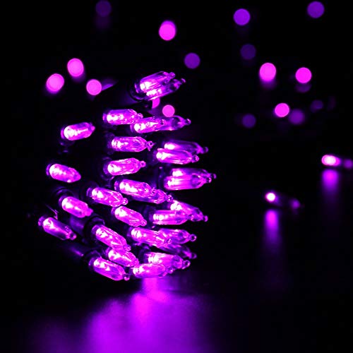 Purple Halloween Lights Connectable (125.14 Count)