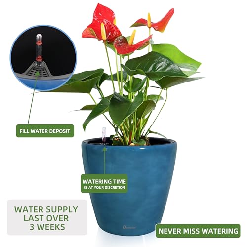 13x12 Self Watering Planter with Wheels