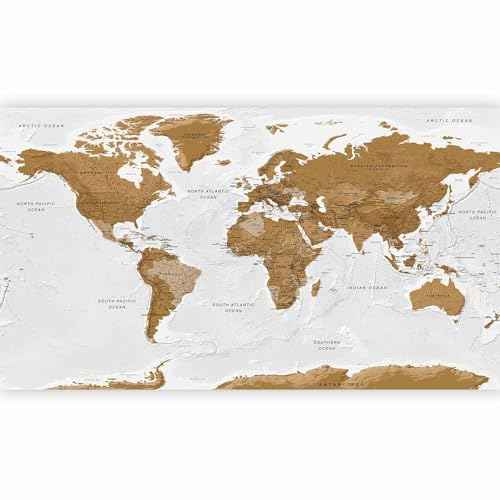 Wall Mural World Map 197x110 in