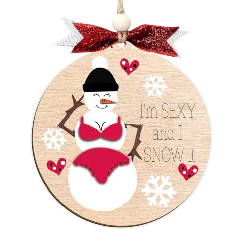 Funny Holiday Ornament 2025