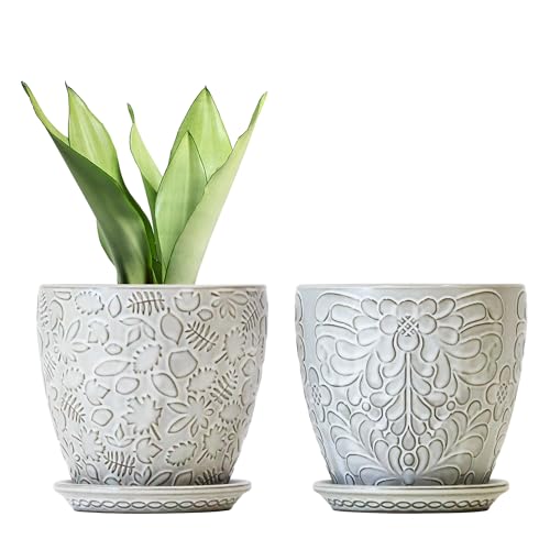 6 Inch Ceramic Planter Pots with Drainage Hole and Saucers for Indoor Plants (2 Count)