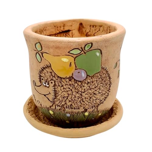 Ceramic Pot with Drainage Hole and Saucer