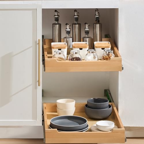 Pull Out Cabinet Organizer