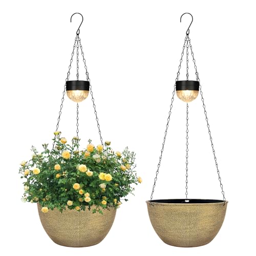 2 Pack Solar Hanging Planters for Plants Outdoor (2 Count)