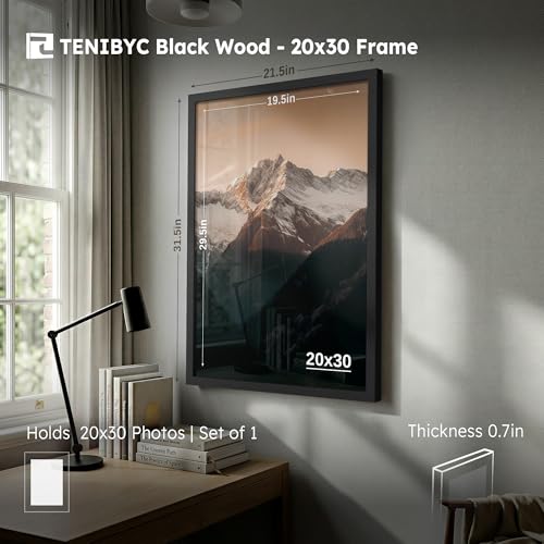20x30 Poster Frame