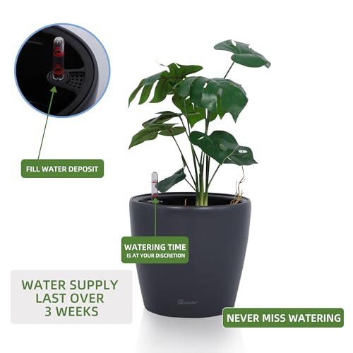11x10 Self Watering Planter