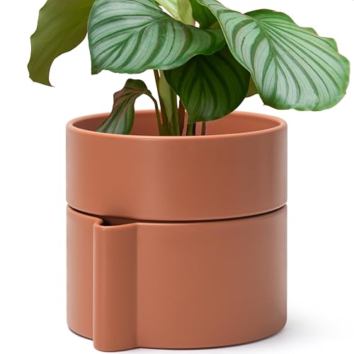 8 Inch Self Watering Planter Pot with Terracotta Insert