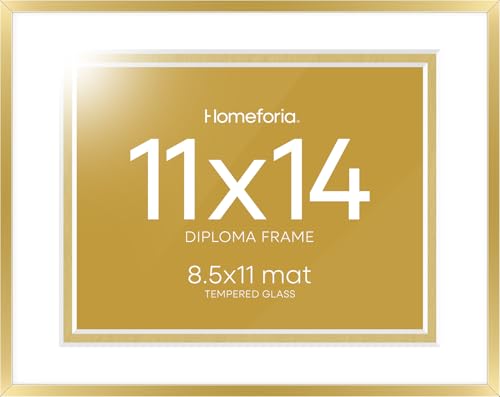 11x14 Gold Diploma Frame (2 Count)