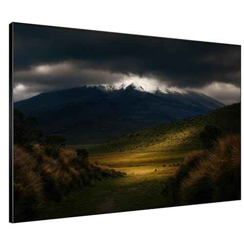 60"x72" Extra Large Framed Wall Art Majestic Snow