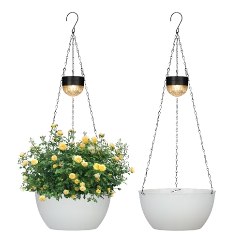 2 Pack Solar Hanging Planters for Plants Outdoor (2 Count)