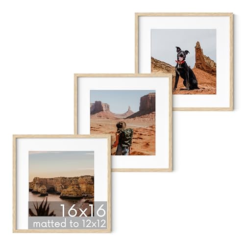 Beige Oak Wood 16x16 Picture Frames (3 Count)