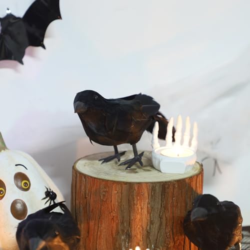 6 Pack Halloween Birds (6 Count)