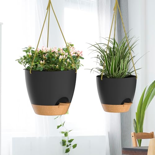 10 Inch Hanging Planters for Indoor Outdoor Plants (2 Count)