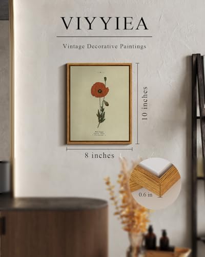 Framed Wall Art Decor for Living Room