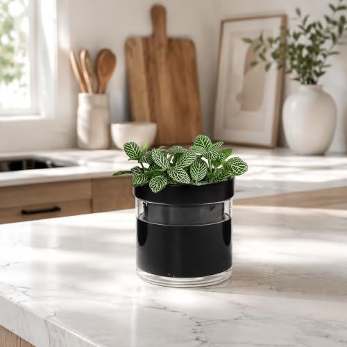 4 Inch Self Watering Planter Pot (2 Count)