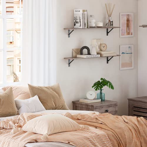 Wall Shelves 23.6" Long Floating Shelves with Metal Brackets (2 Count)