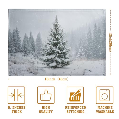 Winter Placemats Set of 4
