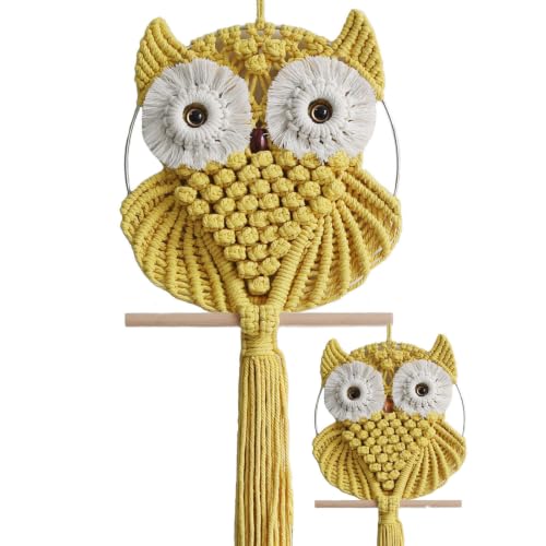 Owl Macrame Wall Hanging
