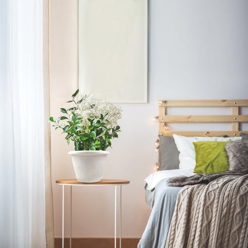 6 Inch Flower Pots Planters for Indoor Outdoor Plants