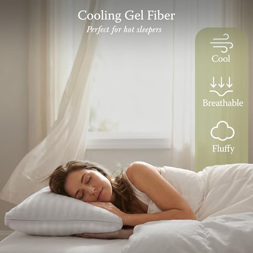 300 Thread Count Cotton King Pillow (2 Count)