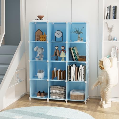 12 Cube Storage Organizer