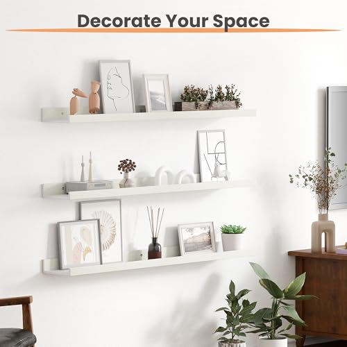 Floating Shelves for Wall Decor and Storage (6 Count)