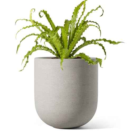 6 Inch Plant Pot
