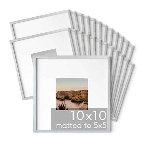 10x10 Silver Metal Picture Frames Matted to 5x5