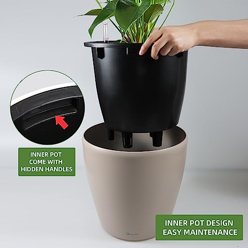 15x14 Self Watering Planter with Wheels