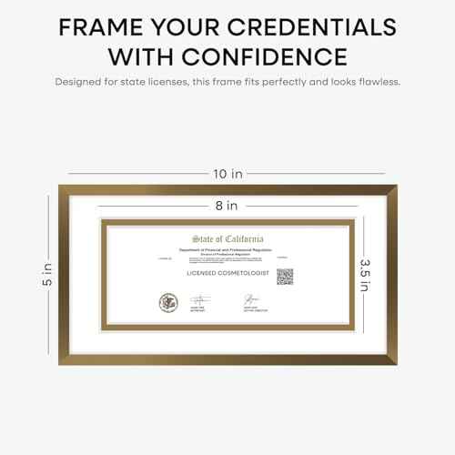 5x10 Bronze License Frame (2 Count)