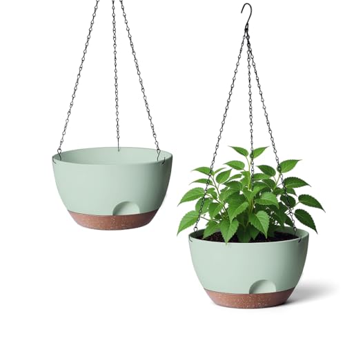 Hanging Planter for Indoor Plants (2 Count)