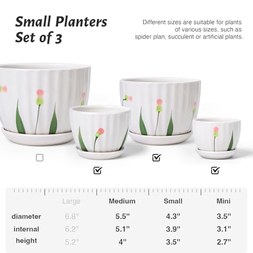 Ceramic Plant Pots with Saucers (3 Count)