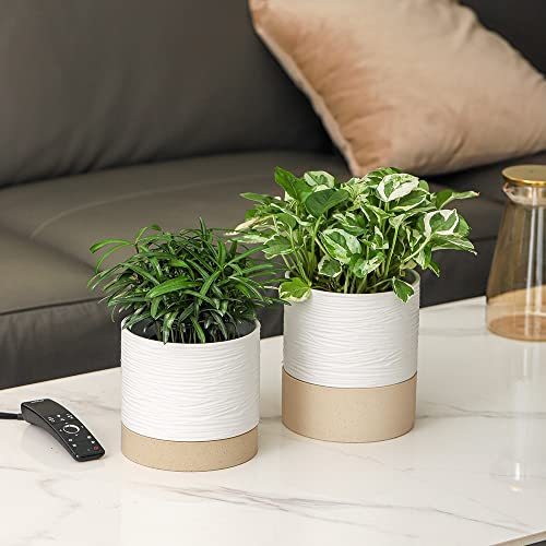 Ceramic Self Watering Plant Pot for Indoor Plants