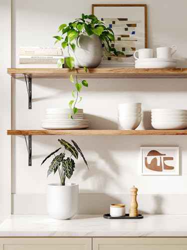 6 Inch Plant Pot