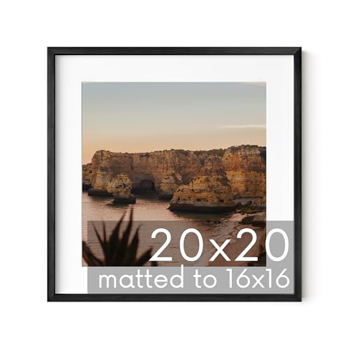 20x20 Black Metal Picture Frame Matted to 16x16