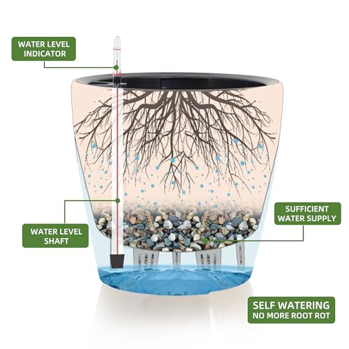 15x14 Self Watering Planter with Wheels