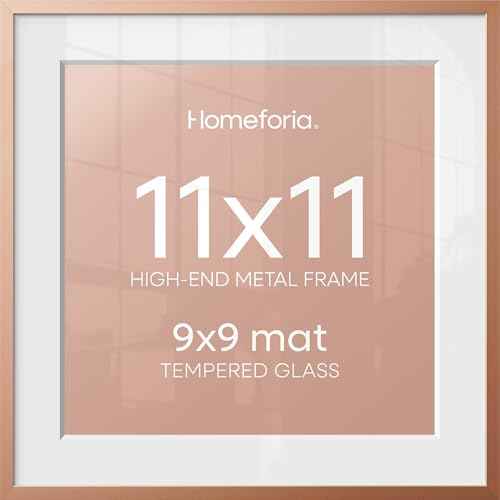11x11 Rose Picture Frame (2 Count)