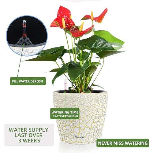 9x8 Self Watering Planter