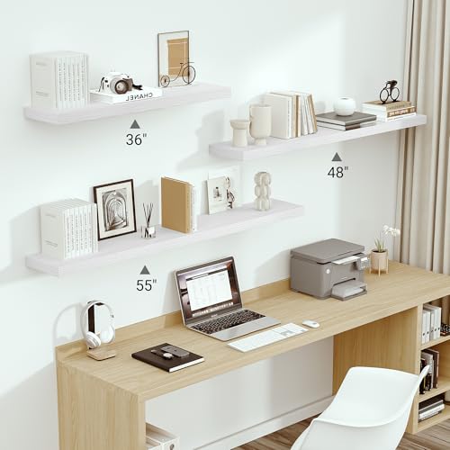 Deep Floating Shelves 55x10” Set of 1